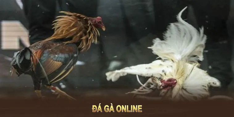 Bí Quyết Thắng Lớn Đá Gà WS168 Tại i9BET Giải Trí Kịch Tính Hấp Dẫn 2 Bí Quyết Thắng Lớn Đá Gà WS168 Tại i9BET Giải Trí Kịch Tính Hấp Dẫn
