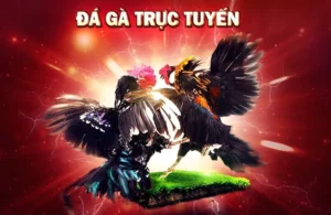 Hướng Dẫn Thắng Lớn Với Đá Gà 3D Tại i9BET Đỉnh Cao Giải Trí